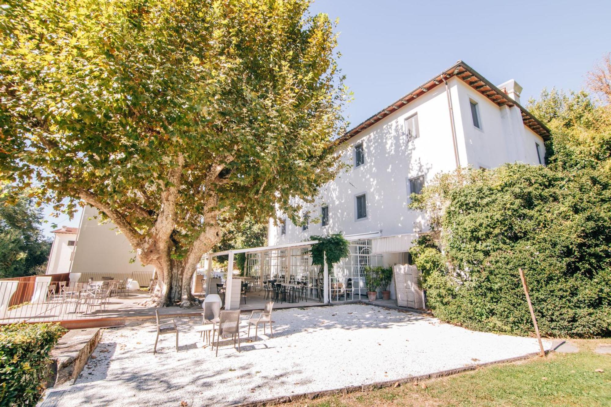 Villa La Bianca Camaiore Exterior photo